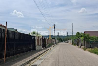 Teren Construcții extravilan de 5800 mp, în Mărăcineni - 2