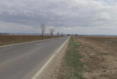 Teren de 8040 mp, în Central - 4