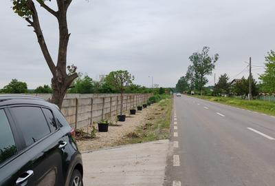 Casă + teren 4200 mp, vie, curent, fosa, anexă – Crevedia Mare, Giurgiu - 8