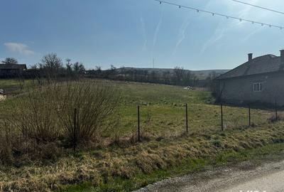 Casa cu 2 camere, in comuna Jichisu de jos - 1