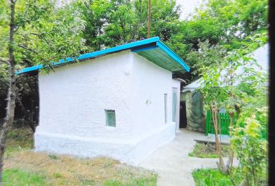 Casă cu 3 camere în Gurbănești - 2