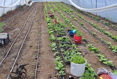 Casa cu teren la 2 km de centru. variante schimb - 2