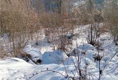 Teren Intravilan Sinaia 2255 mp - 2