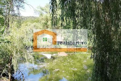 Ideal Evenimente Private, restaurant, pensiune, 1,8ha teren, padure - 11