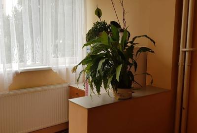 Garsonieră decomandată în Tudor - 6