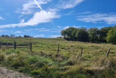 Teren de 15000 mp, în Central