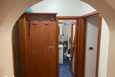 Apartament cu 2 camere decomandat, mobilat în Bistrița Lac - 10