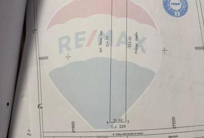 Teren agricol extravilan de 10128 mp, în Est - 3