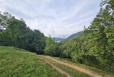 TEREN DE VANZARE SECIURI - 8