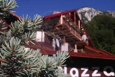 De vanzare / Pensiunea El Plazza Baile Herculane - 26