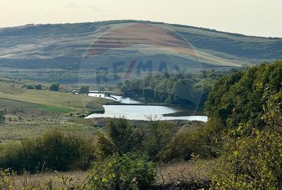 Teren cu parau | 50,000 mp | zona Caianu-Vama | la lizi... - 17