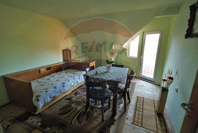 Casă cu 7 camere cu Teren 2104 Mp în Vad - 10