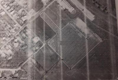 Teren intravilan de 27500 mp, în Lacu Sărat - 2