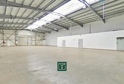 Spațiu industrial, în Sud - 2