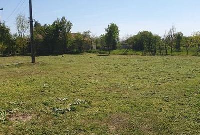Teren de 1000 mp, în Central - 4