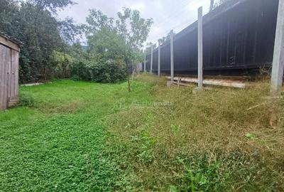 Casa de in Saliste aproape de Transalpina - 1