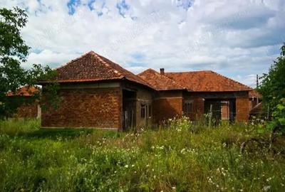 Casă cu Teren 11000 Mp în Dumbrăvița - 1