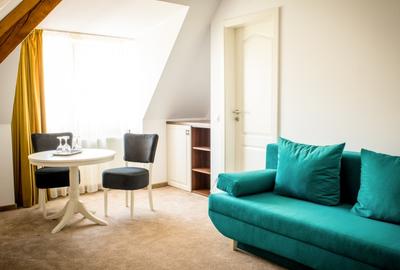 Apartament cu 3 camere decomandat, mobilat în Drumul Poienii - 8