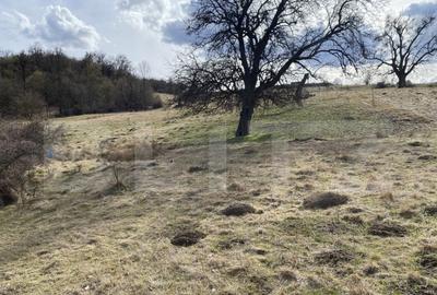 Teren extravilan in suprafata de 7500 mp la poalele Mesesulu - 1