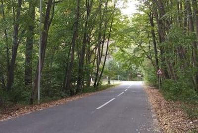 SUPER  OCAZIE TEREN 4000MP DE VANZARE IN SNAGOV CU DESCHIDERE LA LACUL SNAGOV - 2