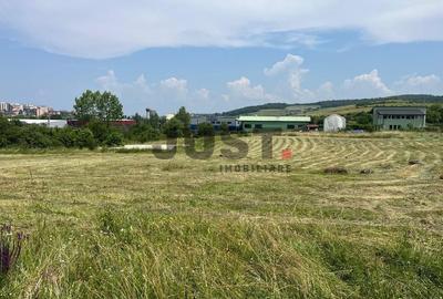 Teren industrial de vânzare-7054 mp - Baciu, zona Napolact - 2