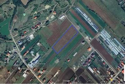 Teren de vanzare in Santana de Mures - 2