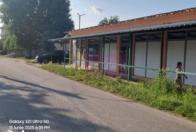 Casă cu 10 camere cu Teren 6000 Mp în Bulbucata - 9