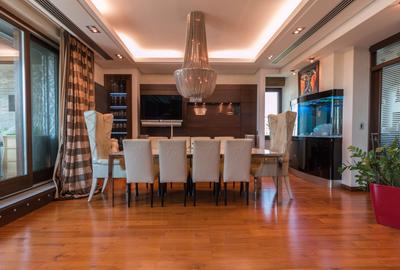 Penthouse parc Herastrau sos Nordului + 400 mp curte cu piscina - 7