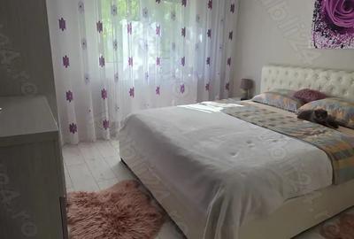 Apartament 3 camere PB mare Nufarul - 7
