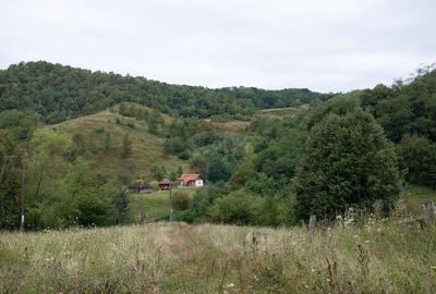Teren intravilan de vis in Mun?ii Apuseni, curent + izv... - 2