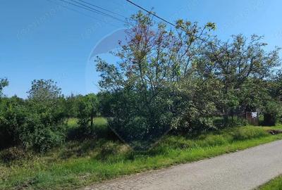 Teren 1,151mp Viile Apei / Strada Ungureasca - 3