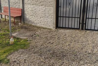 Casă cu Teren 600 Mp în Măceșu de Jos - 4