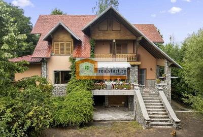 Vedere directa la Padure, 9000mp teren, Vila D+P+1E+M, semineu, foisor - 44