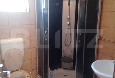 Casa ideala pentru locuit, relaxare sau investitie turistica - in Rastolita - 9