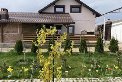 Casă cu 4 camere în Mehedința - 2