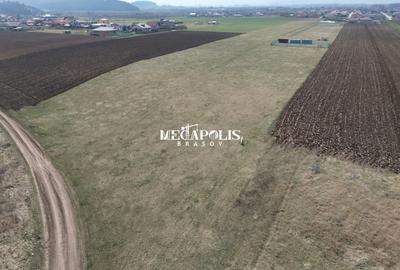 Teren Construcții intravilan de 1200 mp, în Bod - 6