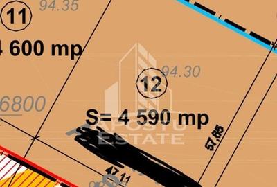 Teren Construcții intravilan de 4591 mp, în Dumbrăvița