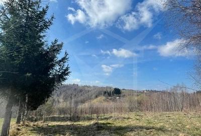 Teren cu panorama pentru cabana, Risca, Valea Fericirii - 5