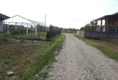 Teren Construcții intravilan de 4394 mp, în Domnești - 3