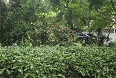 Apartament cu 2 camere decomandat în Sârbi - 4