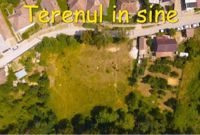 Teren de 2300 mp, în Sud - 4