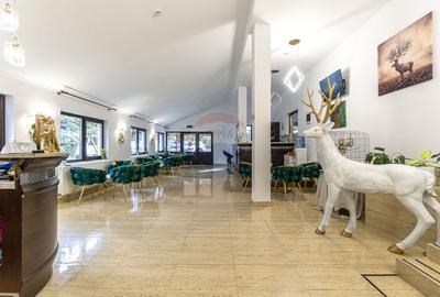 HOTEL "CERBUL CHALET" de vanzare/ zona Rasnov-Paraul Rece - 11