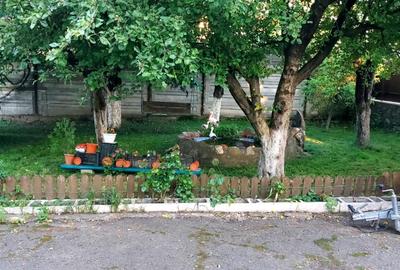 Casa 5 camere  suprafata utila 126 mp , teren 684,spre vanzare in Saliste - 3