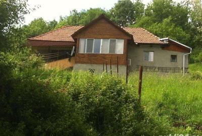 Casă cu 2 camere cu Teren 2650 Mp în Central - 3