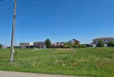 Teren de 713 mp, în Dumbrăvița - 1