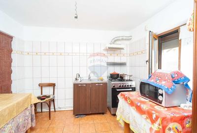 Casa de Vanzare, 3 Camere, 1577mp Teren la E58 - Letcani, Iasi - 8