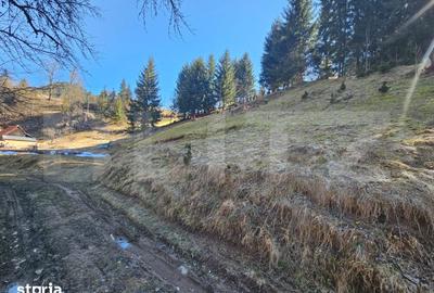 Teren de 2977 mp, în Scărișoara - 3
