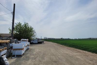 Teren 2,8 Ha, intravilan Oras Ovidiu – Varianta - 9