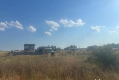 Teren de 500 mp, în Malu Mare - 5