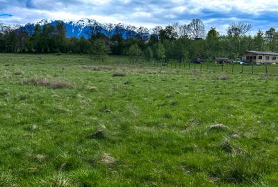 Teren Bran Zarnesti 3 km Castelul Bran 25 km Brasov Teren Bran Zarnesti 3 km Castelul Bran 25 km Brasov - 4